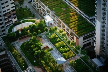 Green Roofing Solutions image